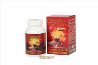 ЦЫГАПАН капс 400мг N120