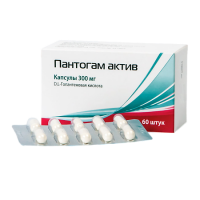 ПАНТОГАМ АКТИВ капс 300мг N60