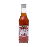 БИОИНВЕНТИКА СИРОП Калина (фруктоза) 250мл