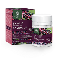 БУЗИНА ЭКСТРАКТ ВИС капс. 0,45г N30