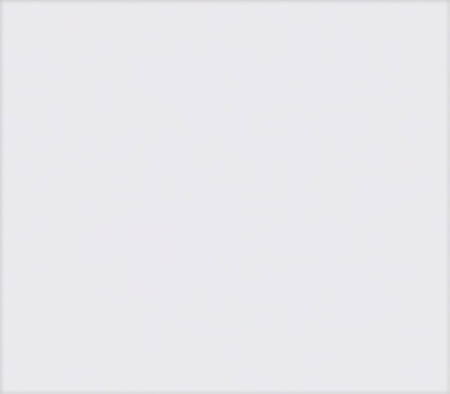 ПИРАЦЕТАМ капс 400мг N60  ОЗОН