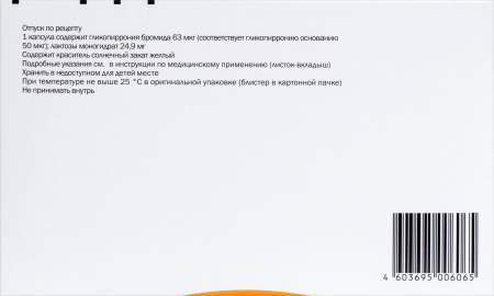 СИБРИ БРИЗХАЛЕР капс 50мкг №30 + Устройство