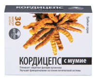 КОРДИЦЕПС С МУМИЕ ГРИБНАЯ СЕРИЯ N30 КАПС МАССОЙ 450МГ