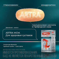АРТРА МСМ таб №60