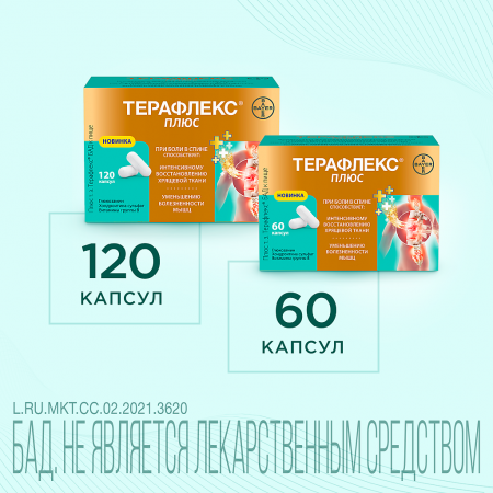 ТЕРАФЛЕКС ПЛЮС капс №60