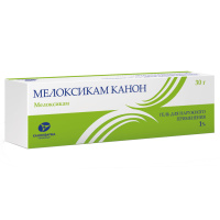 Мелоксикам-Канон гель д/наружн. прим. 1% 30г N1
