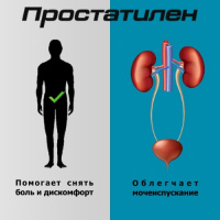 Простатилен форте супп. рект. 5мг N10