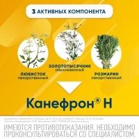 КАНЕФРОН Н таб п/о N120