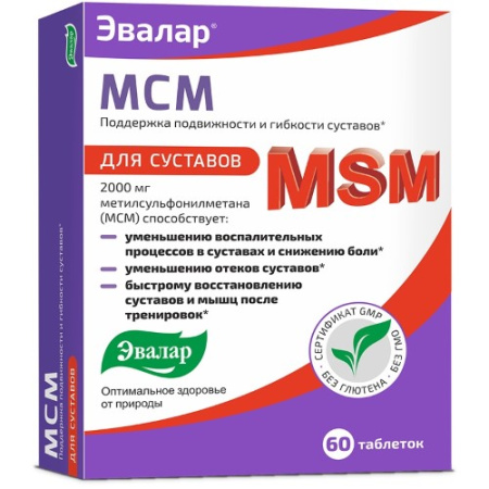 МСМ таб 0,65 г №60