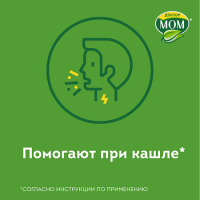 ДОКТОР МОМ N20 ПАСТИЛКИ /ЯГОДНЫЕ/