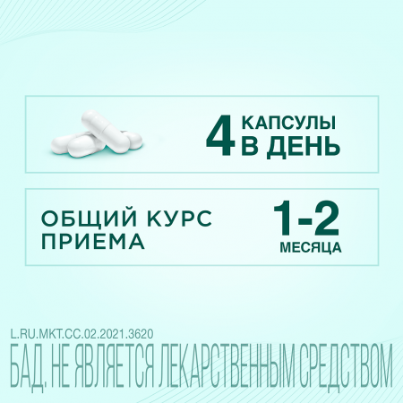 ТЕРАФЛЕКС ПЛЮС капс №60