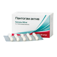ПАНТОГАМ АКТИВ капс 300мг N60