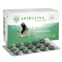 СПИРУЛИНА-ФИТОСИЛА таб №120