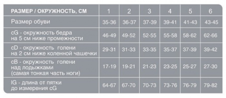 ЭРГОФОРМА 211 Чулки (1кл) №2 (бронза)