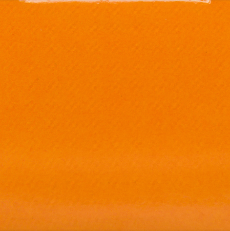 ОБЛЕПИХОВОЕ МАСЛО 100мл  Камелия