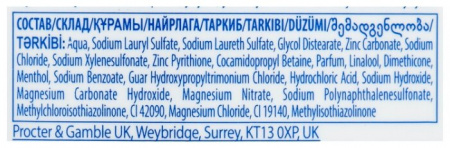 ХЭД ЭНД ШОЛДЕРС шампунь Энергия океана (против перхоти) 300мл