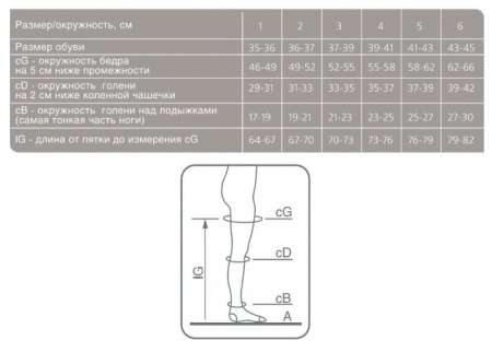 ЭРГОФОРМА 221 Чулки (2кл) №4 (бронза)