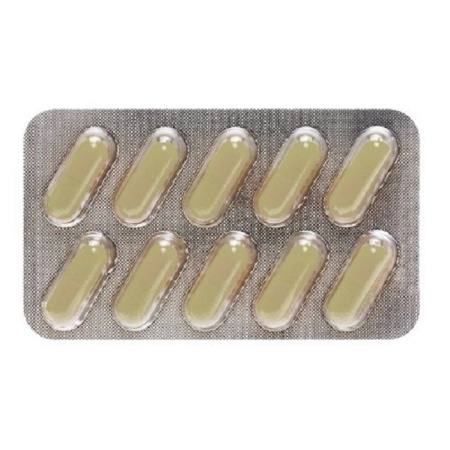 ХИТОЗАН капс N60  Ветпром