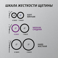 ПРЕЗИДЕНТ з/щ ЭКСКЛЮЗИВ (средняя)
