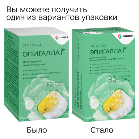 ЭПИГАЛЛАТ капс N60