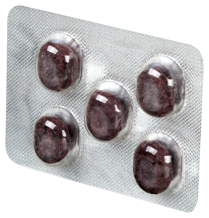 СМОЛКА АЛТАЙСКИЙ НЕКТАР Живица Сибирская в глазури без сахара (черника) №5