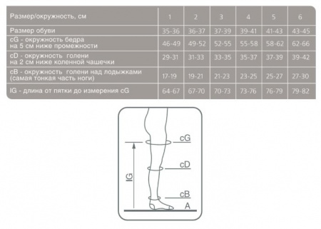 ЭРГОФОРМА 221 Чулки (2кл) №5 (бронза)