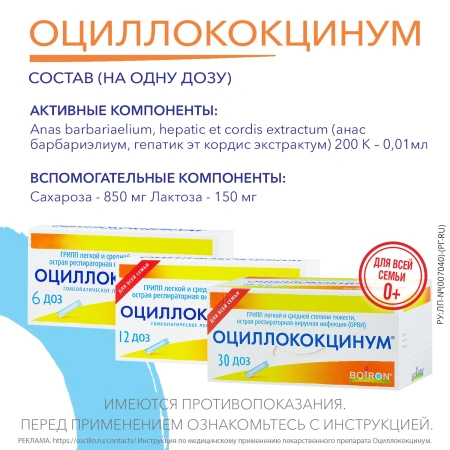 ОЦИЛЛОКОКЦИНУМ N12 ГРАНУЛЫ