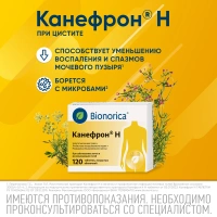 КАНЕФРОН Н таб п/о N120