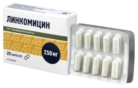 ЛИНКОМИЦИНА капс 250мг N20  Белмедпрепараты