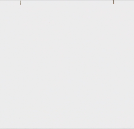 ПУСТЫРНИКА настойка 25мл  Флора Кавказа